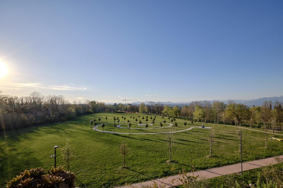 Garden view