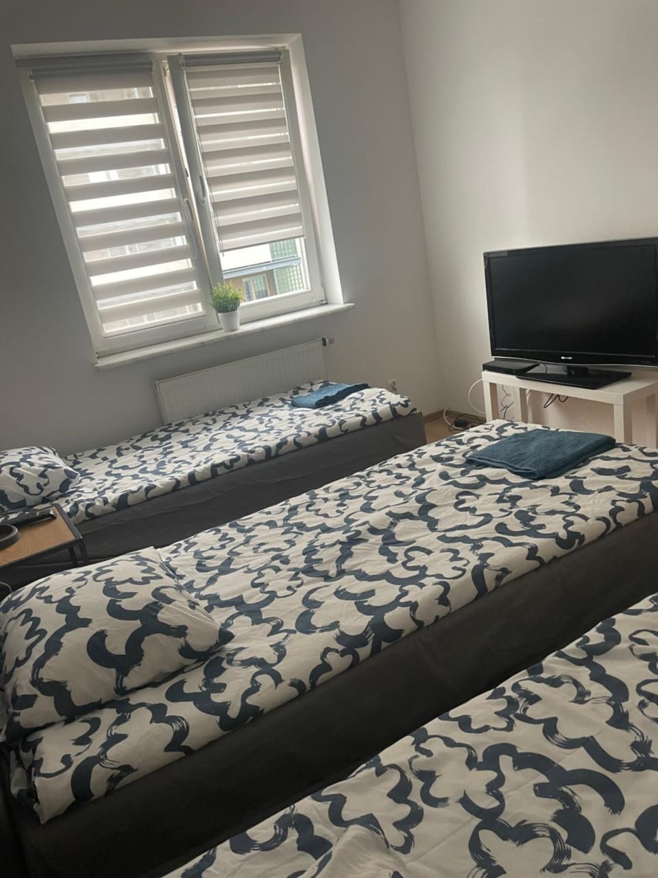 Bed, TV and multimedia