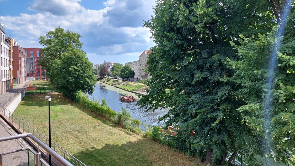 Natural landscape, River view
