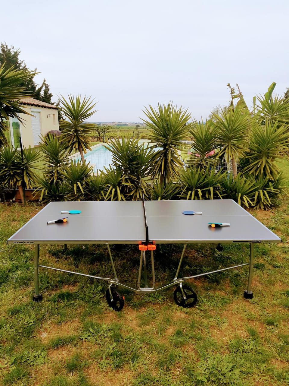 Table tennis