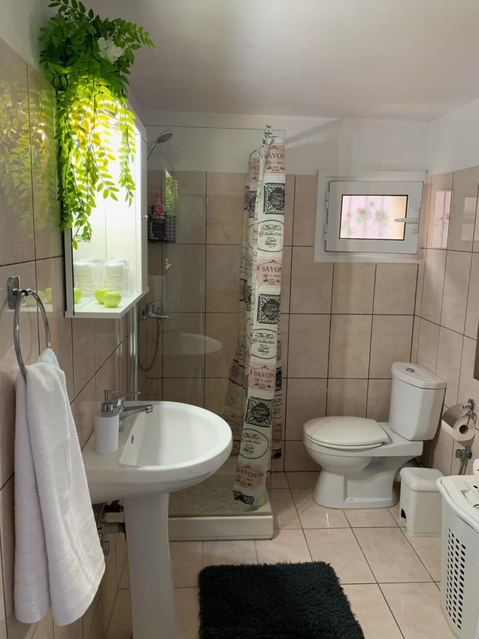 Shower, Toilet
