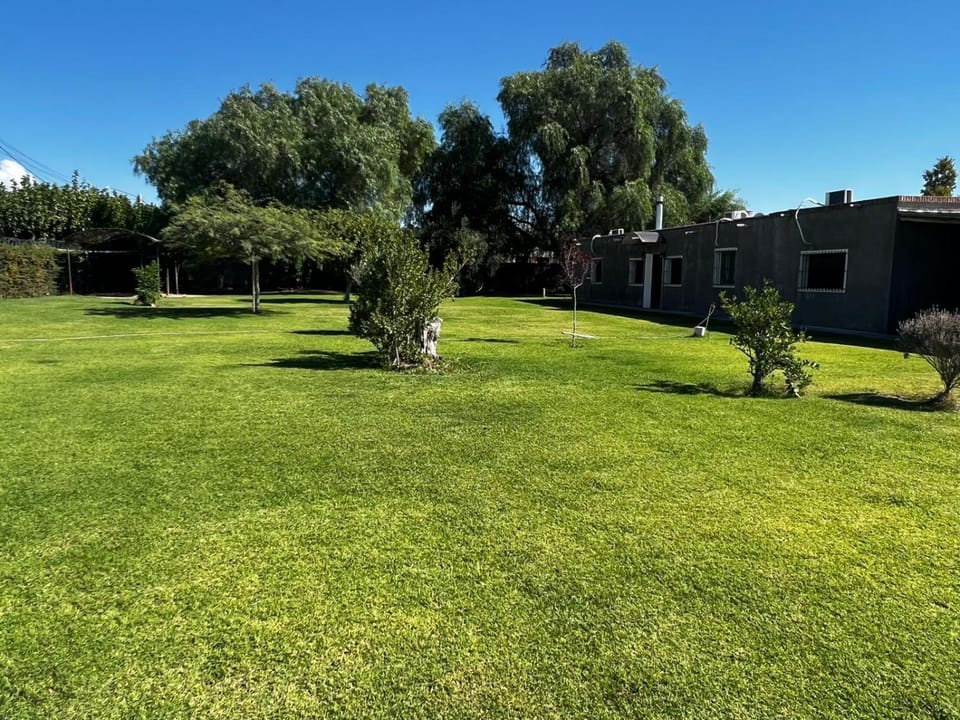 Alquilo casa quinta House in San Juan Province, Argentina