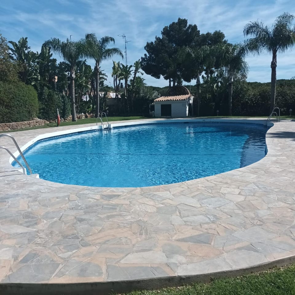 Day, Garden, Garden view, Pool view, Swimming pool