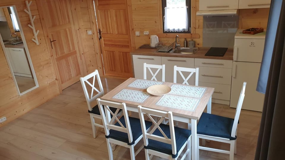 Kitchen or kitchenette, Dining area, oven, stove