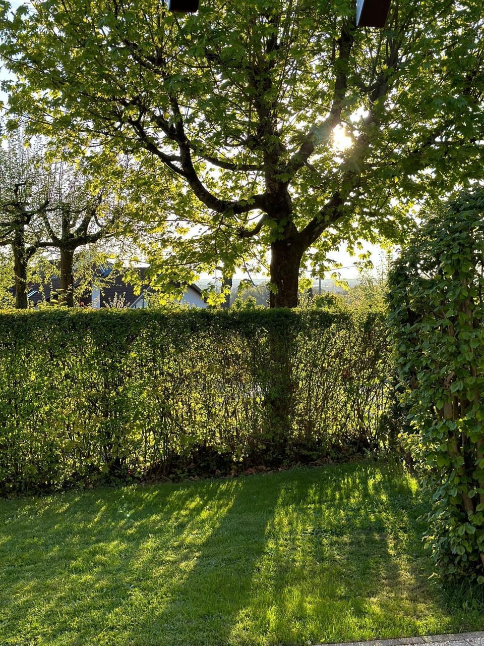 Ferienwohnung am Bodensee Apartment in Baden-Württemberg