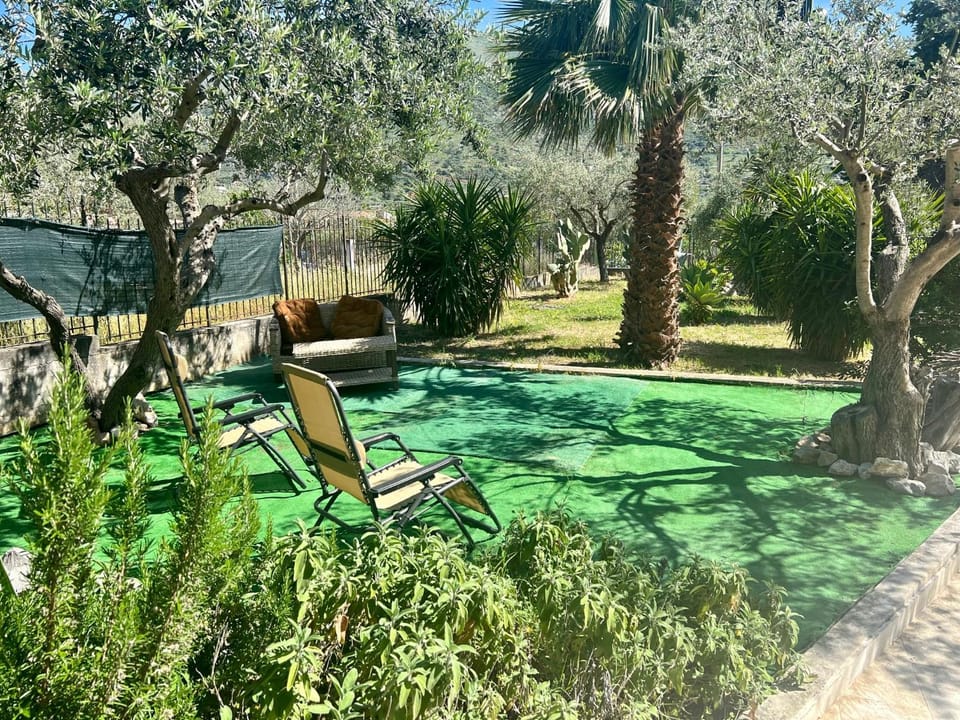 Natural landscape, Summer, Garden