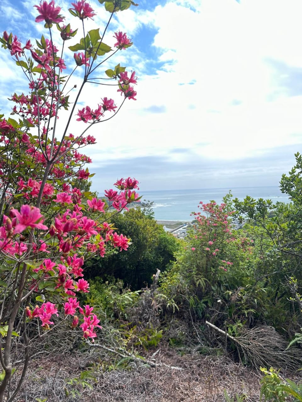 Natural landscape