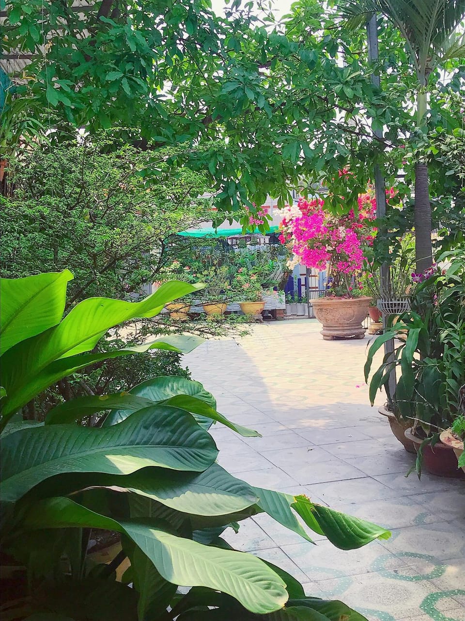 Garden, Garden view