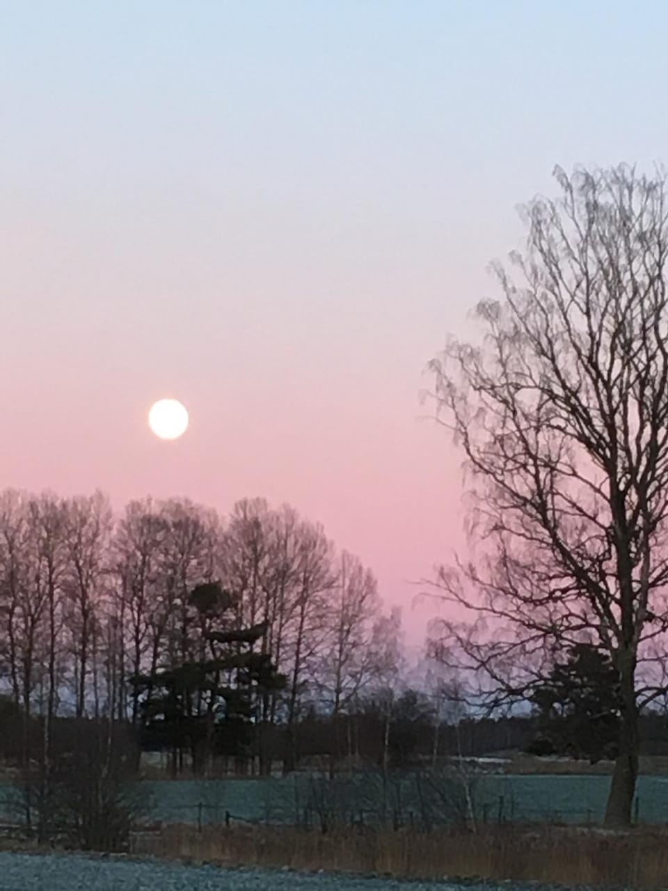 Liten stuga mitt i naturen på Kinnekulle House in Västra Götaland County