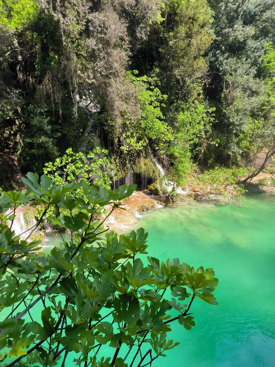 Le Mas Mélusine Chambres d hôtes avec piscine en oliveraie à Fayence Bed and Breakfast in Fayence
