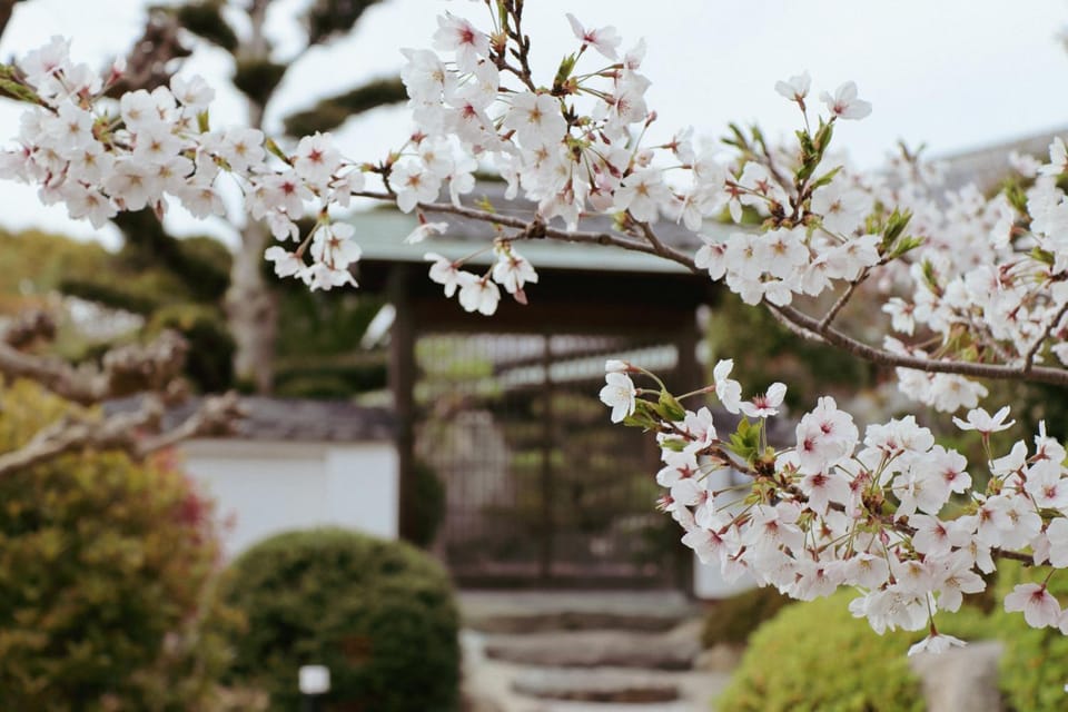 Spring, Day, Garden, Garden view