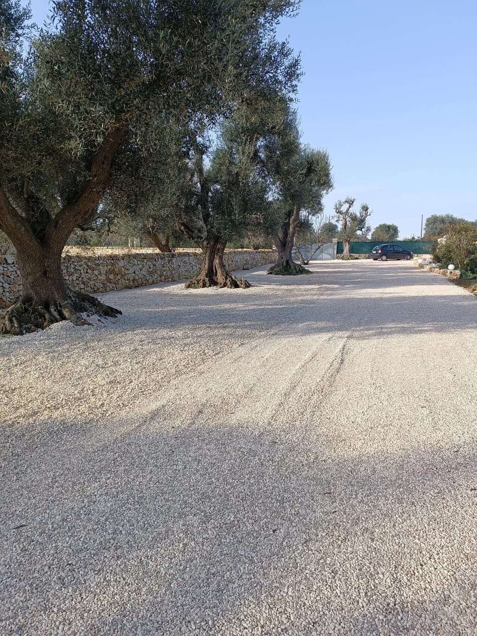 Trullo Bianco Ulivo House in Province of Taranto