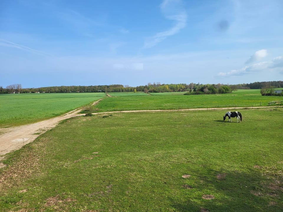 Natural landscape