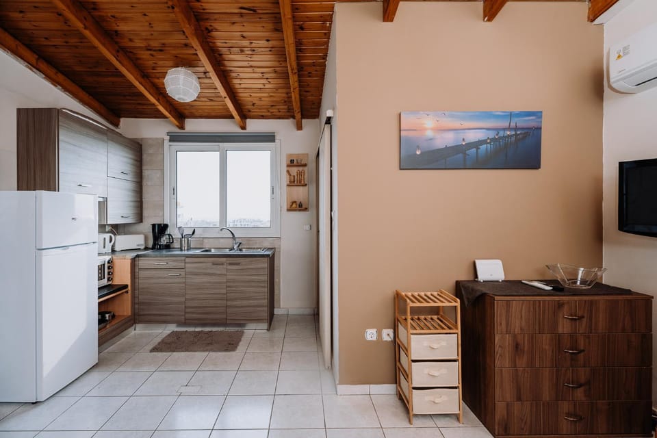 TV and multimedia, Kitchen or kitchenette, minibar, oven, air conditioner