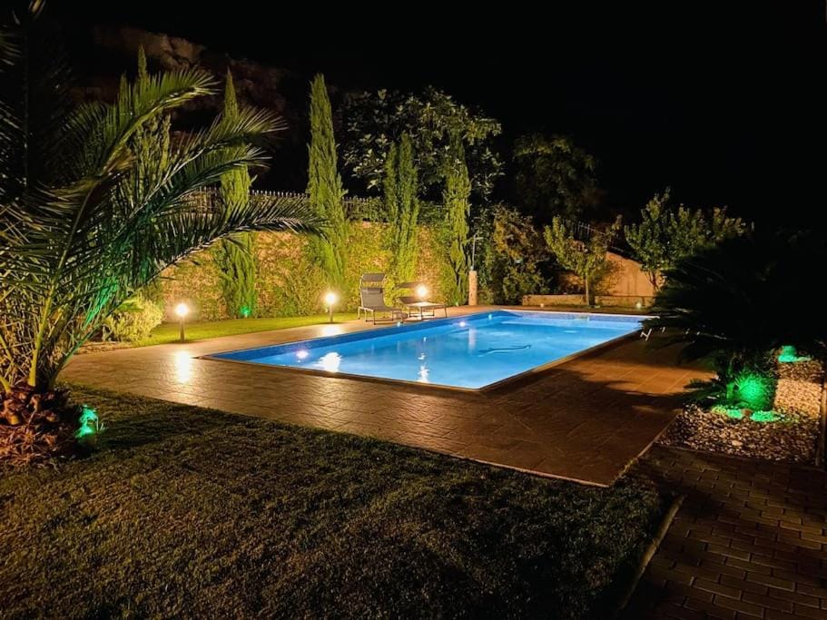 Night, Garden, Pool view