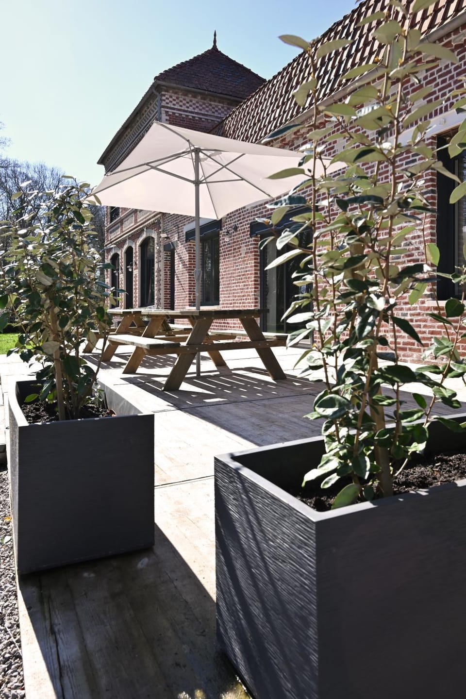 Patio, Garden view
