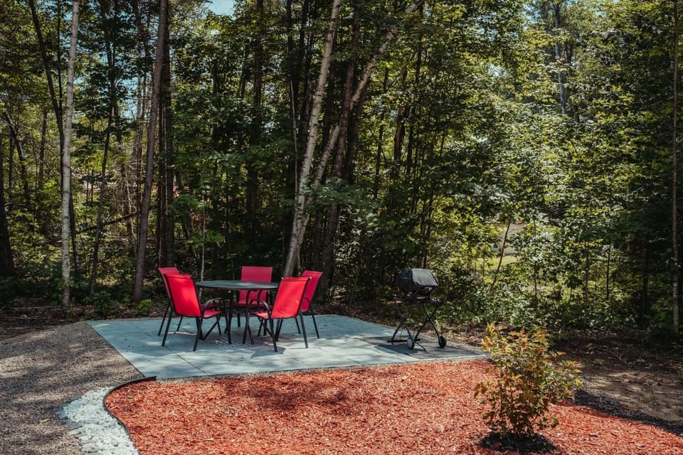 Natural landscape, Garden, Dining area, Garden view