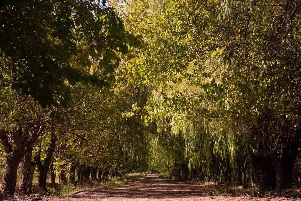 Natural landscape