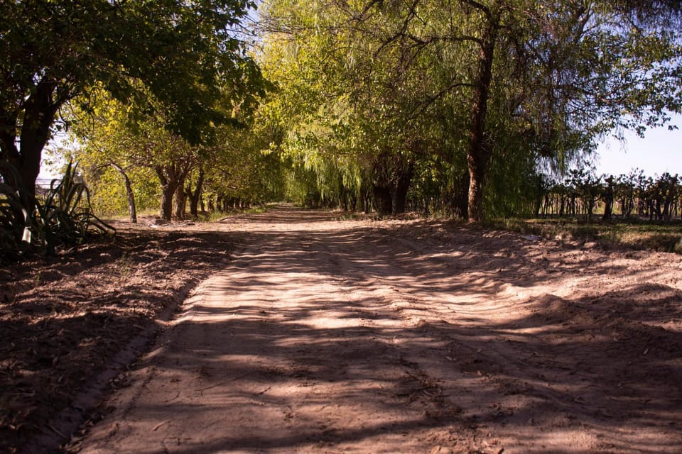 Natural landscape