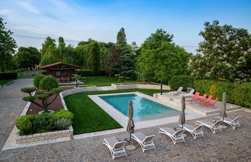 Garden, Garden view, Pool view, Swimming pool, Swimming pool, sunbed