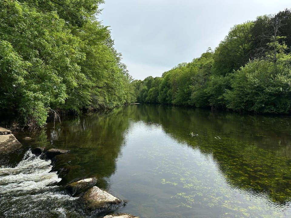 Domaine de Puygiraud sur L'Anglin House in Nouvelle-Aquitaine