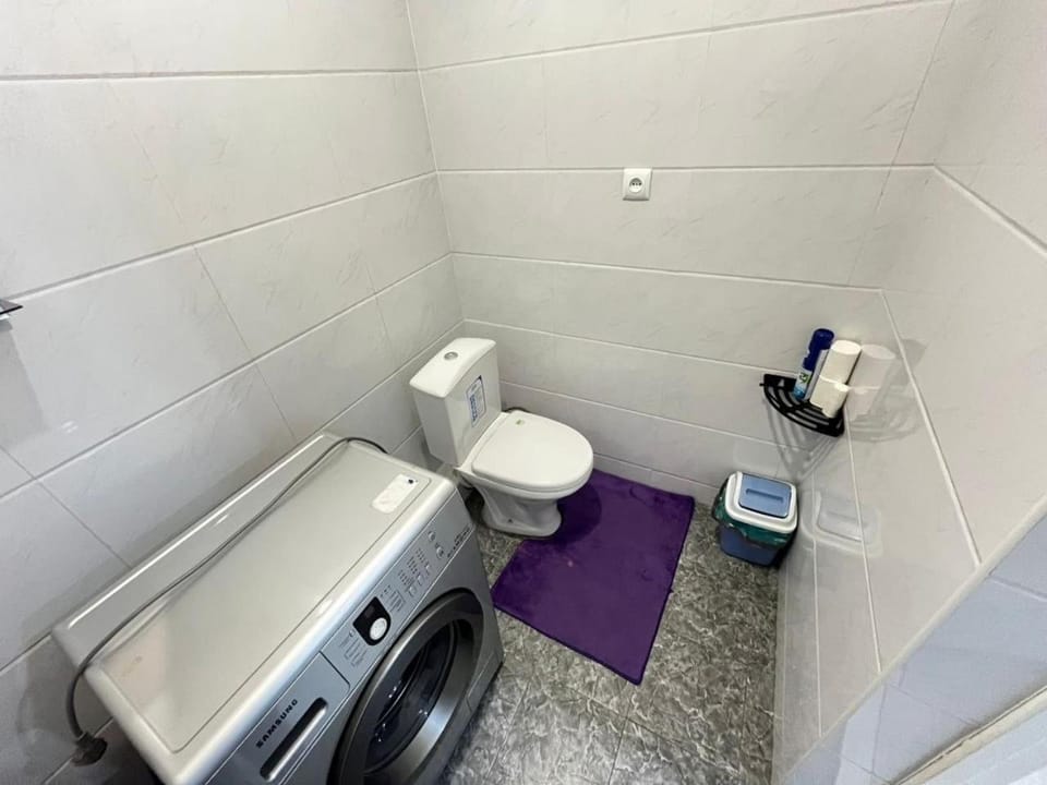 Toilet, washing machine