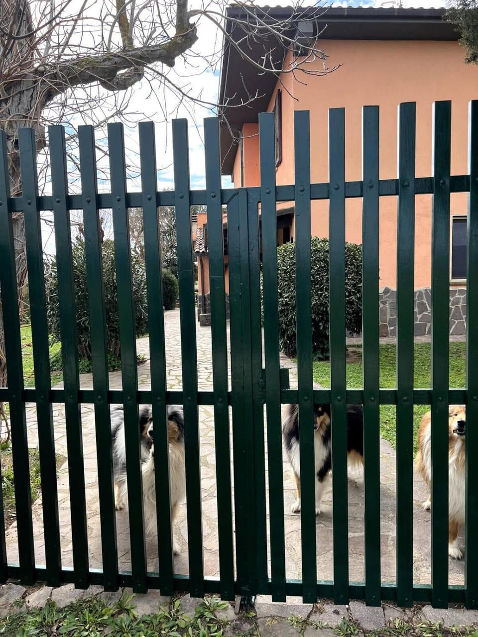 Loc.Cioccaie Apartment in Tuscany