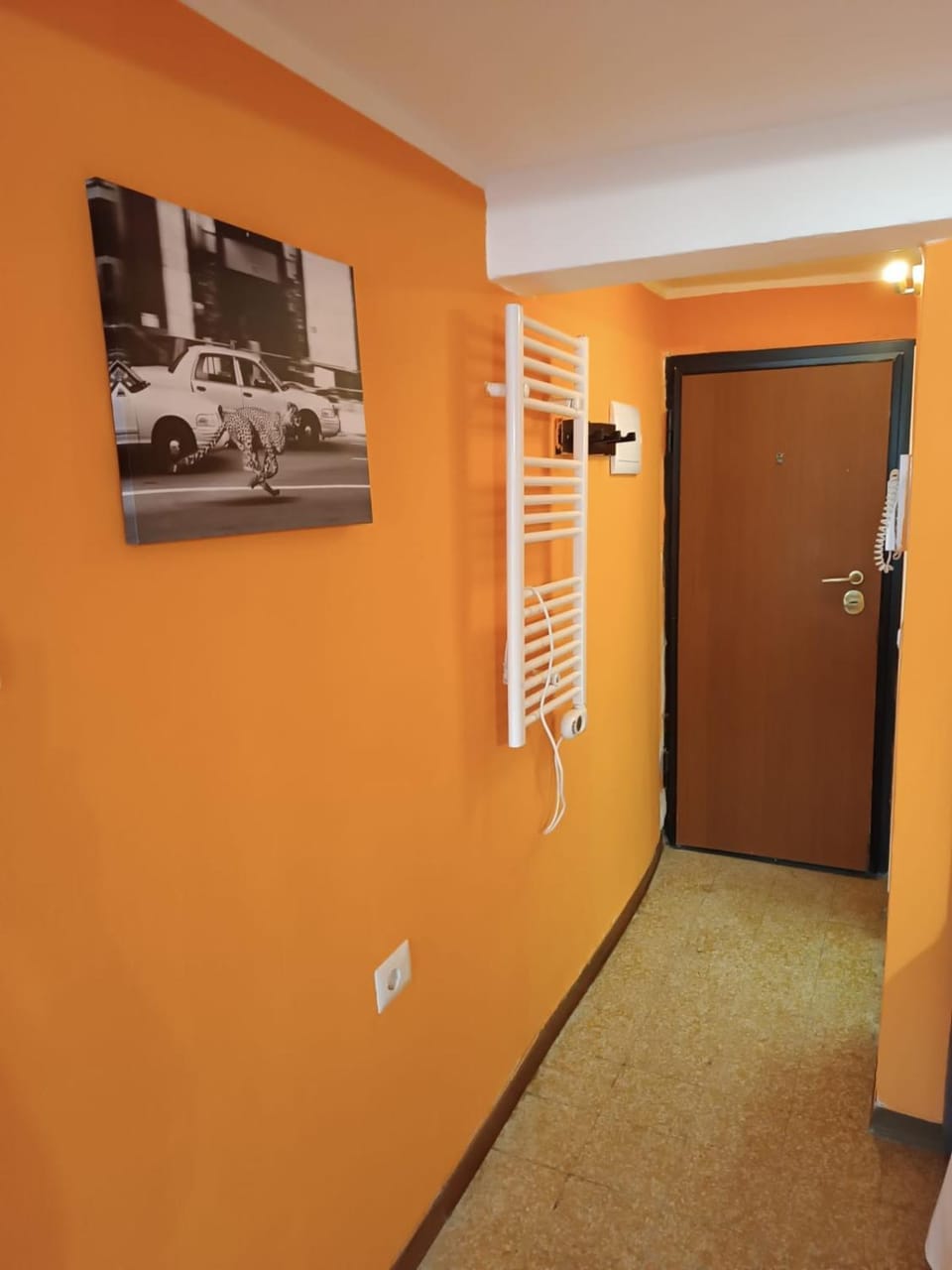 CORSO DEI CORSI Apartment in Parma