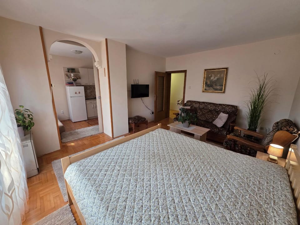 Apartman Marko Apartment in Serbia