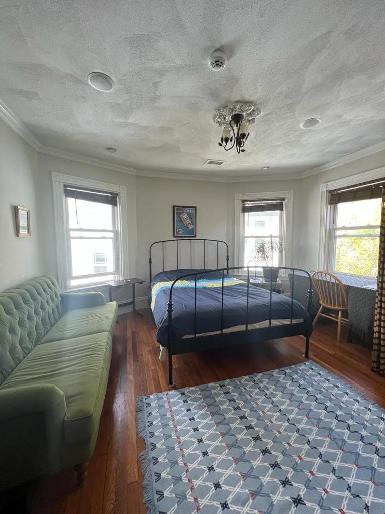 Private Room in a Grand House Vacation rental in Jamaica Plain