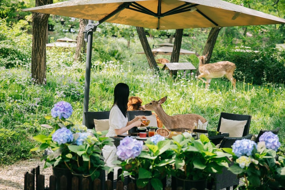 Natural landscape, Garden, Garden, Food and drinks, Animals, Food, Garden view