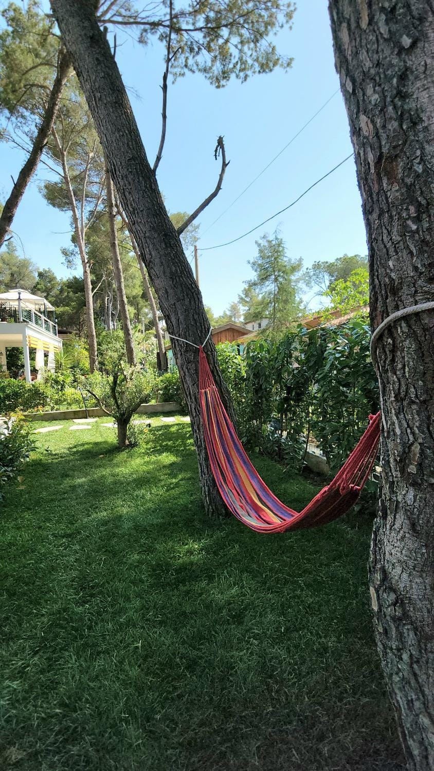 Spring, Day, Natural landscape, Garden, Garden view