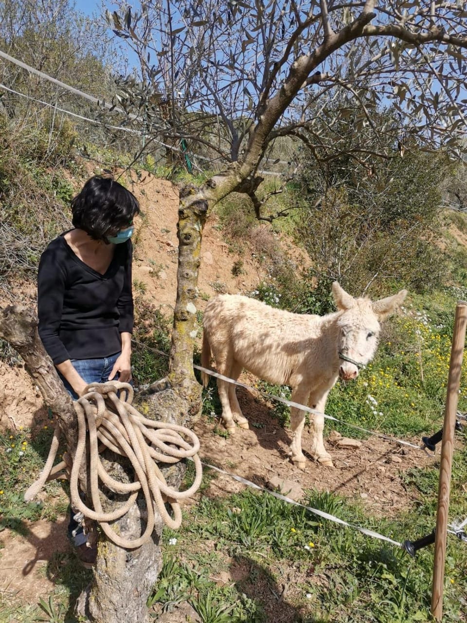 MASIA CAN SUNYER AGROTURISMO Farm Stay in Maresme
