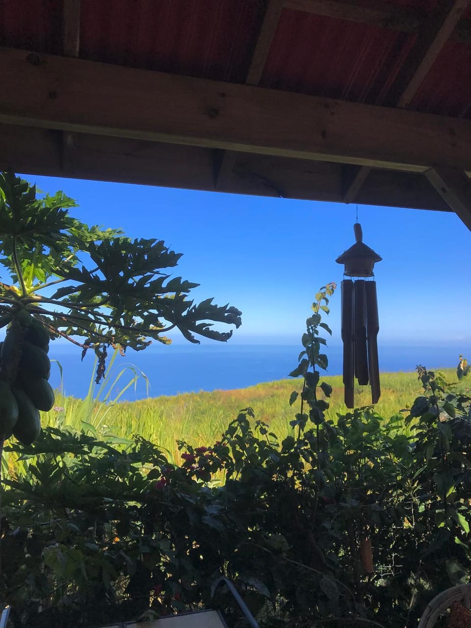 View (from property/room)