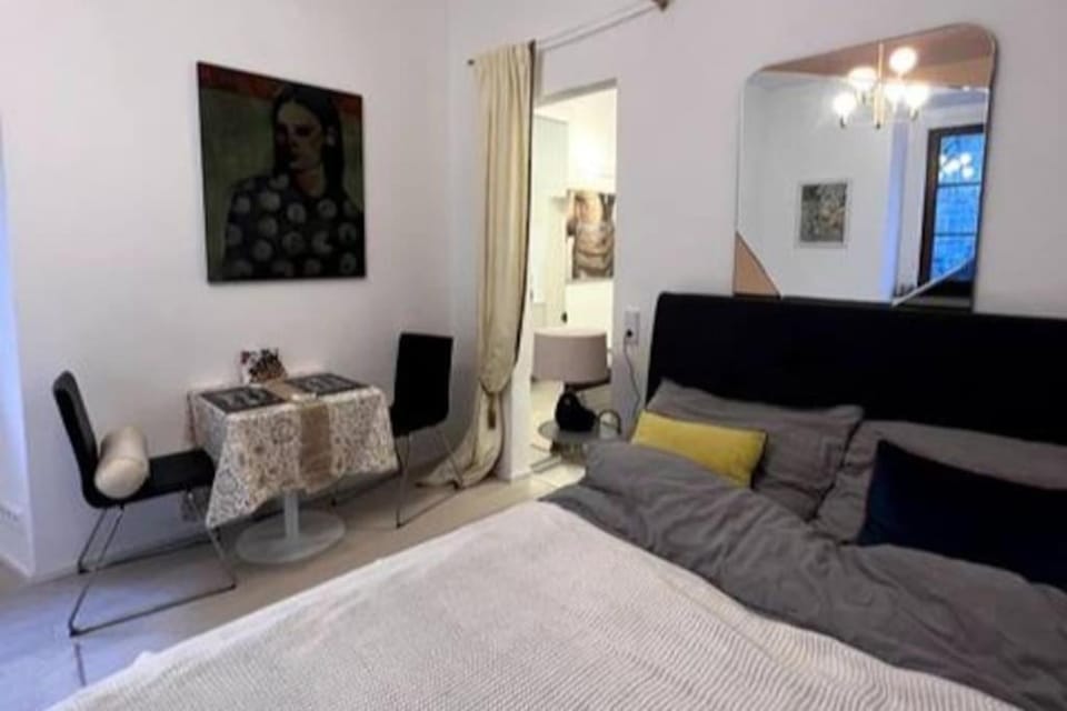 Exclusive apartement in historic center Apartment in Linz