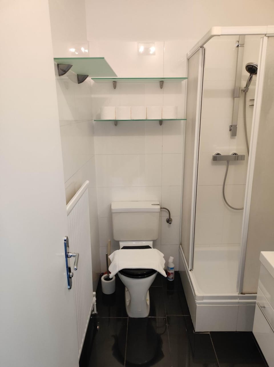Shower, Toilet