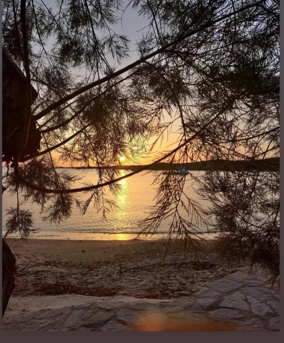 Little Villa - walk to the beach House in Decentralized Administration of Macedonia and Thrace