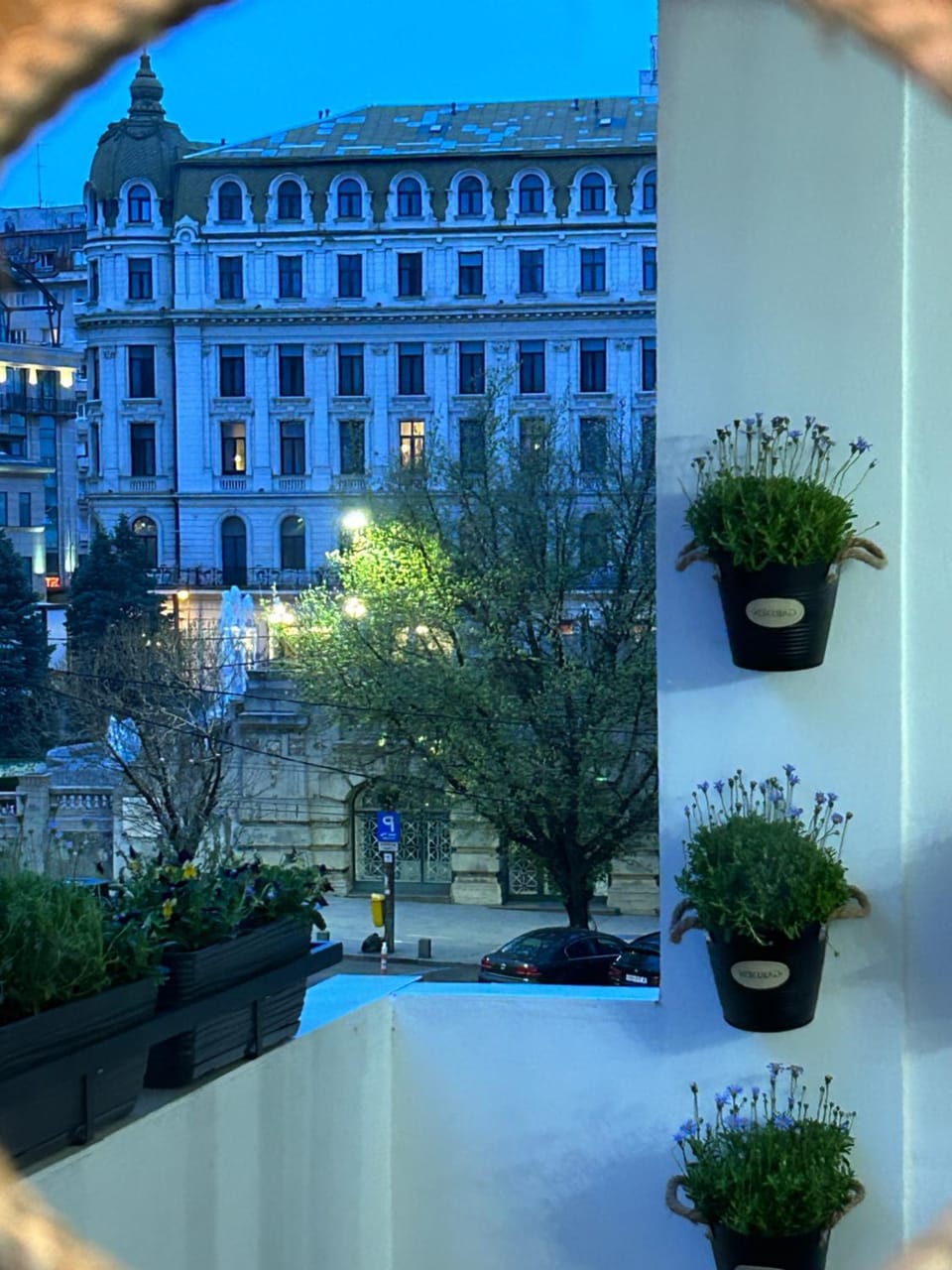 City View Apartment in Bucharest