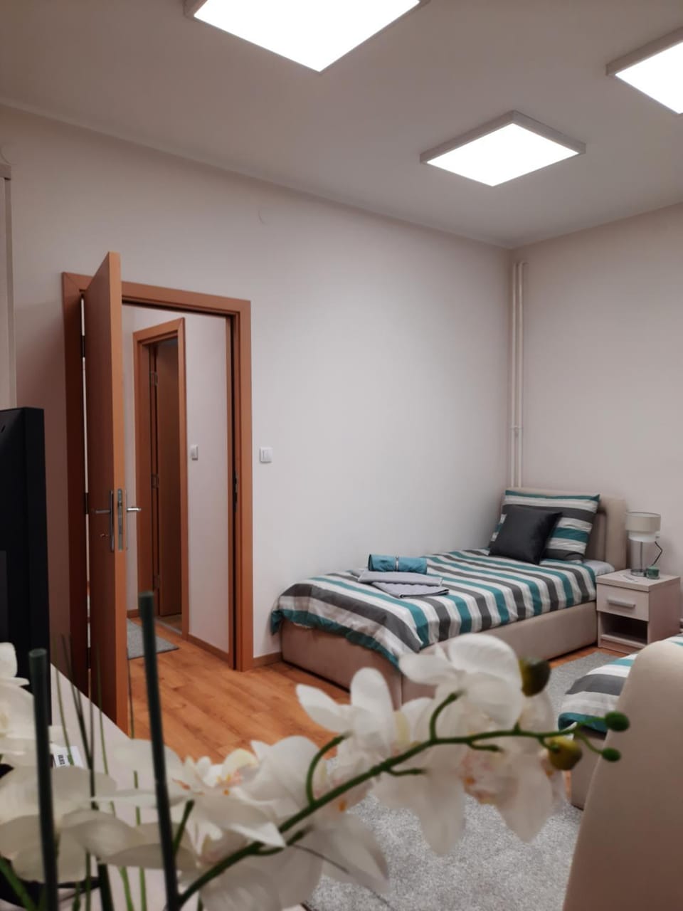 Aleksa 2 Apartment in Belgrade