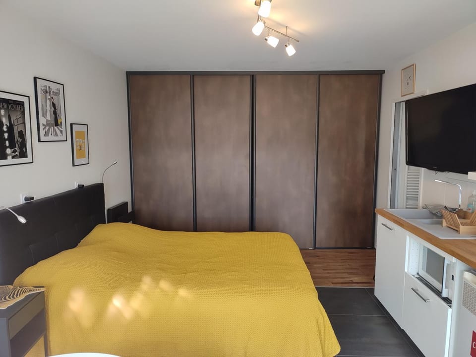 Bed, TV and multimedia, Kitchen or kitchenette, Photo of the whole room, minibar