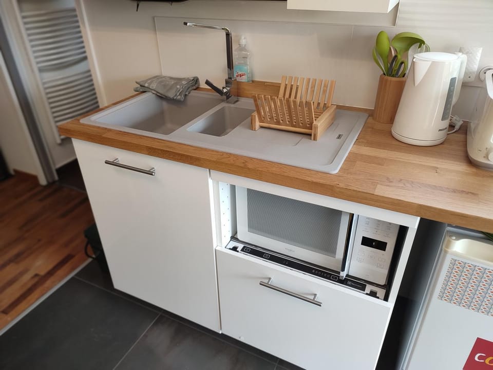 Kitchen or kitchenette, dishwasher, minibar, pet friendly, stove