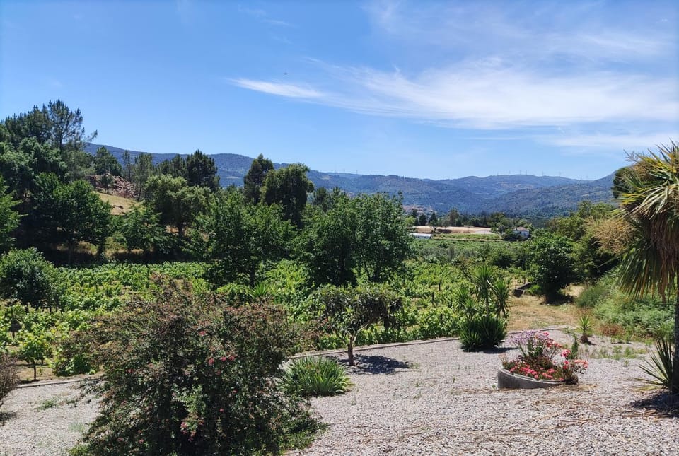 Day, Garden view, Mountain view
