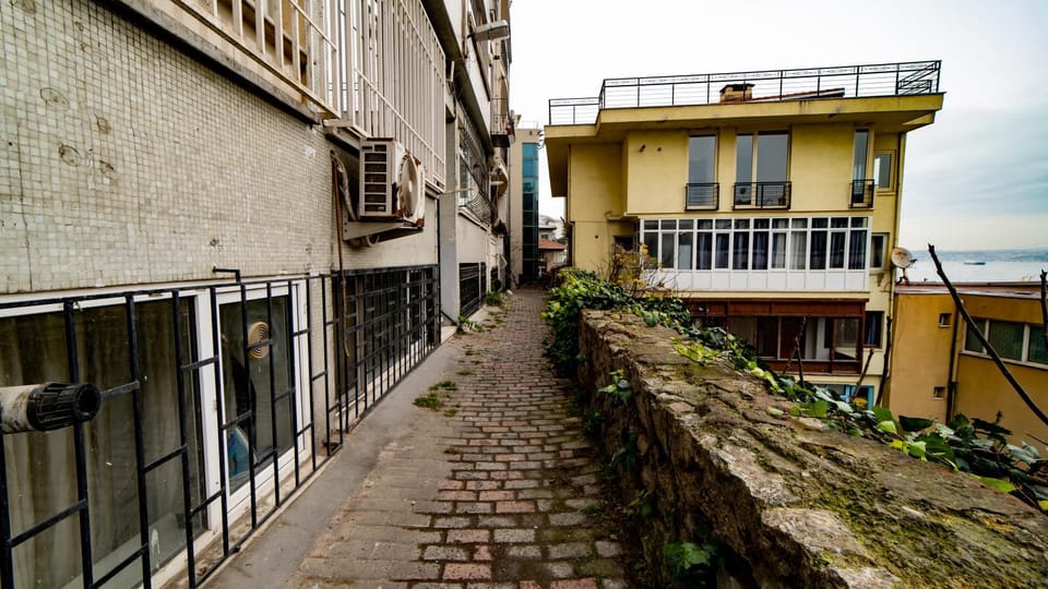 Day, Neighbourhood, Natural landscape, City view, Street view, Quiet street view