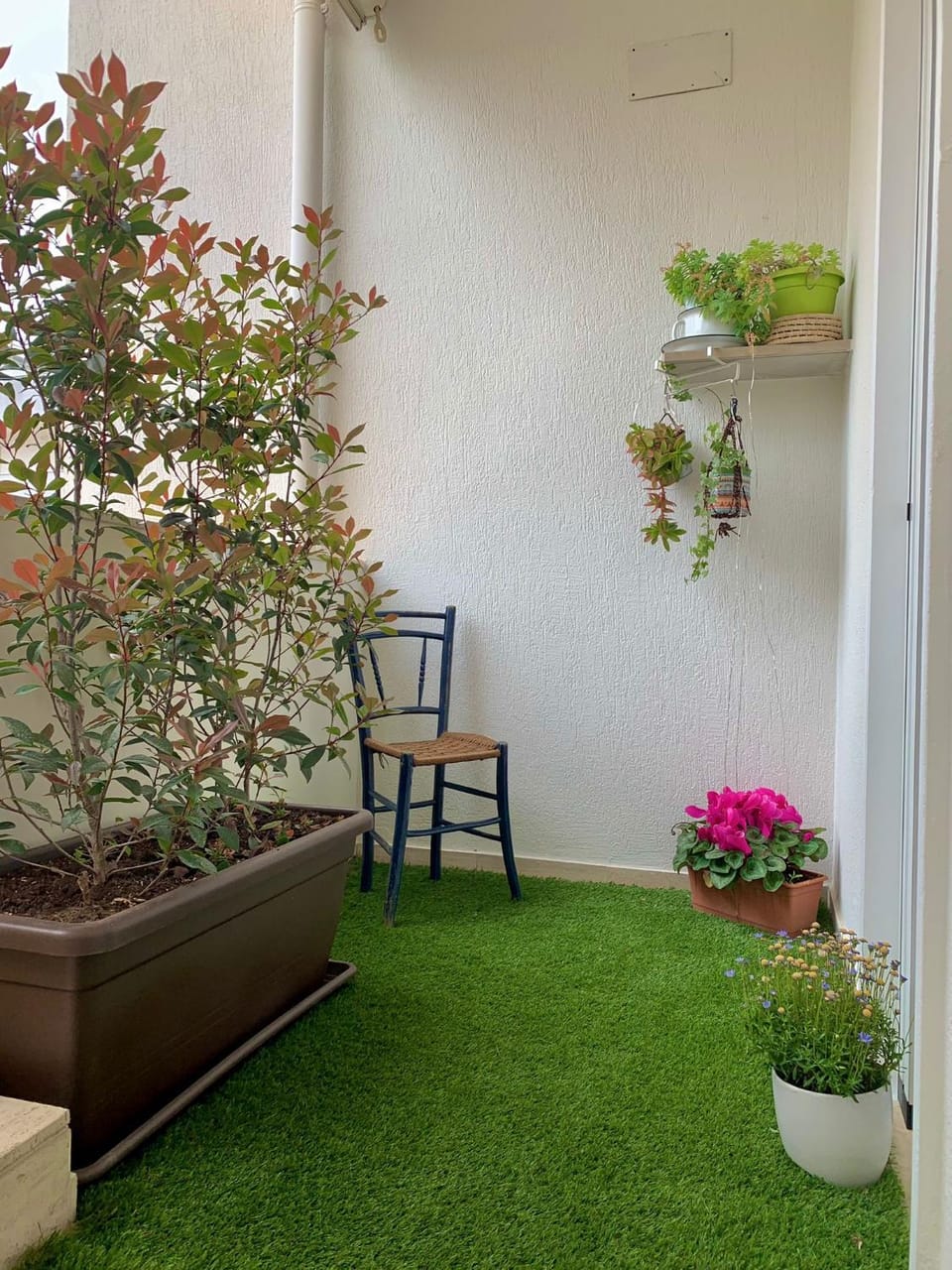 Mariluna Apartment in Bari