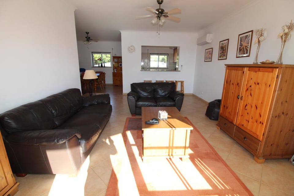 Living room, fireplace, air conditioner