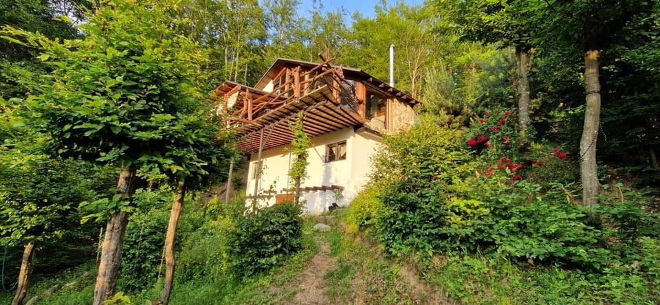 Property building, Day, Garden
