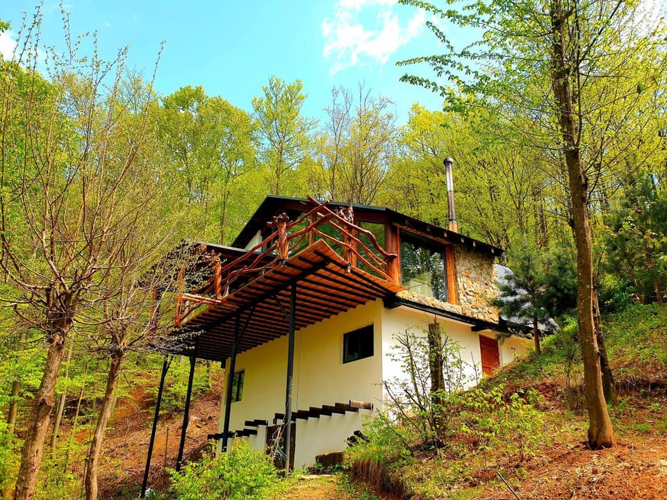 Property building, Spring, Day, Natural landscape, Garden, Garden view