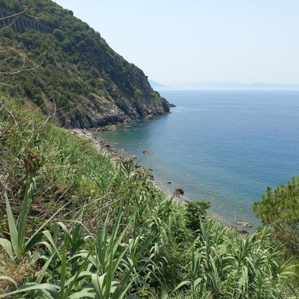 Sea view