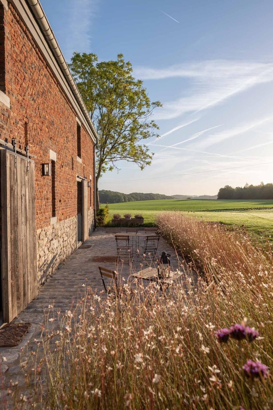 Natural landscape, Garden, Garden view