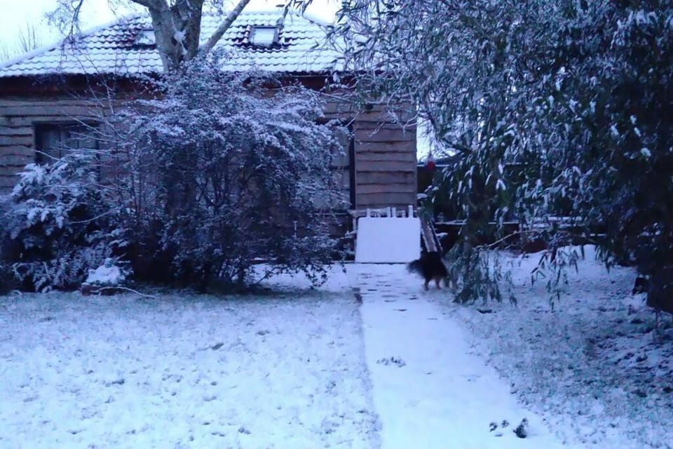 The Bristol Coach House in the heart of Bishopston Apartment in Bristol